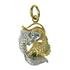 Sterling Silver and Gold Fish Of Harmony Pendant