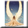 Notelets & Greetings Cards