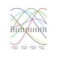 Biorhythms Energy Chart by Astral Aspects