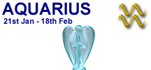 Click here to see our Aquarius Gift Ideas