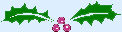 Christmas Holly