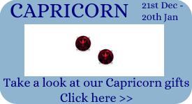 Take a look at our Capricorn Gift Ideas