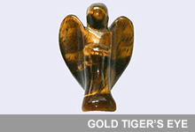 Take a look at our Gold Tiger Take a look at our Gold Tiger