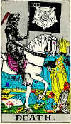 Your Tarot Card