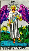 Your Tarot Card