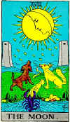 Your Tarot Card