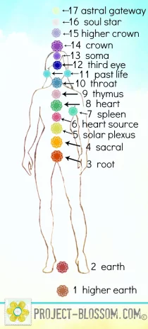 The 17 Chakras
