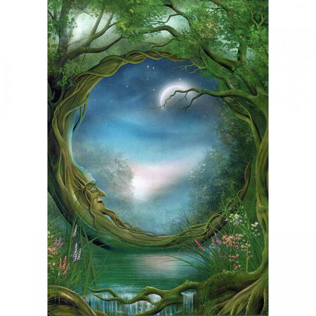 Day and Night Blank Greetings Card