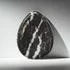 Zebra Stone Thumb Worry Stone