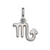 Sterling Silver Scorpio Astrology Symbol Charm/Pendant