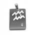 Sterling Silver Astrology Pendant - Aquarius