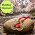 3 Lucky Chinese Coins on Red Ribbon with Red Prosperity Envelope