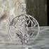 Sterling Silver Herne's Pentacle Pendant