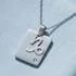 Sterling Silver Zodiac Pendant Capricorn