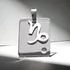 Sterling Silver Zodiac Pendant Capricorn