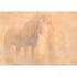Enchanted Evening Unicorn Blank Greetings Card