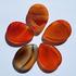 Carnelian Thumb Worry Stone