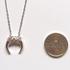 Sterling Silver Crescent Horn Necklace [SALE]